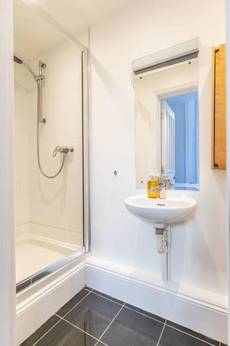 Victorian Flat Close To Station With Large Garden Brighton Exterior foto